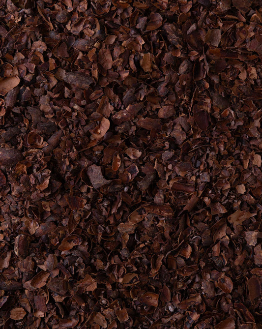 Cocoa shell tea