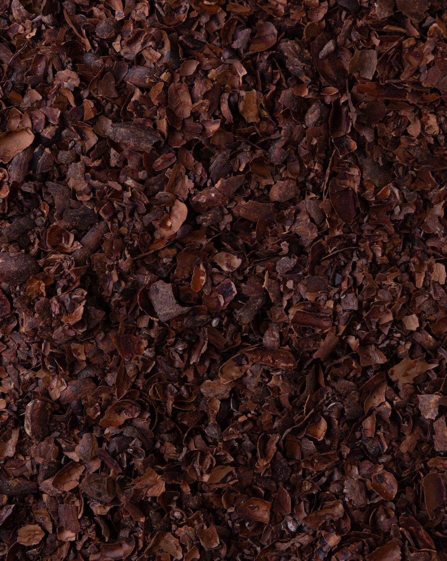 Té de cáscara de cacao