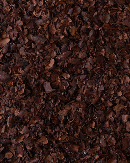 Té de cáscara de cacao