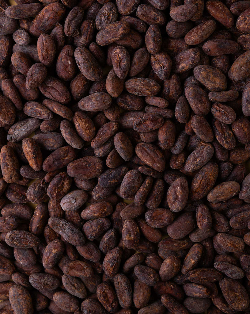Kakaobohnen Belize Roh